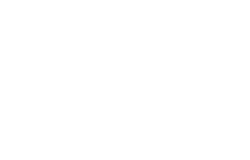 Euro Palace Logo